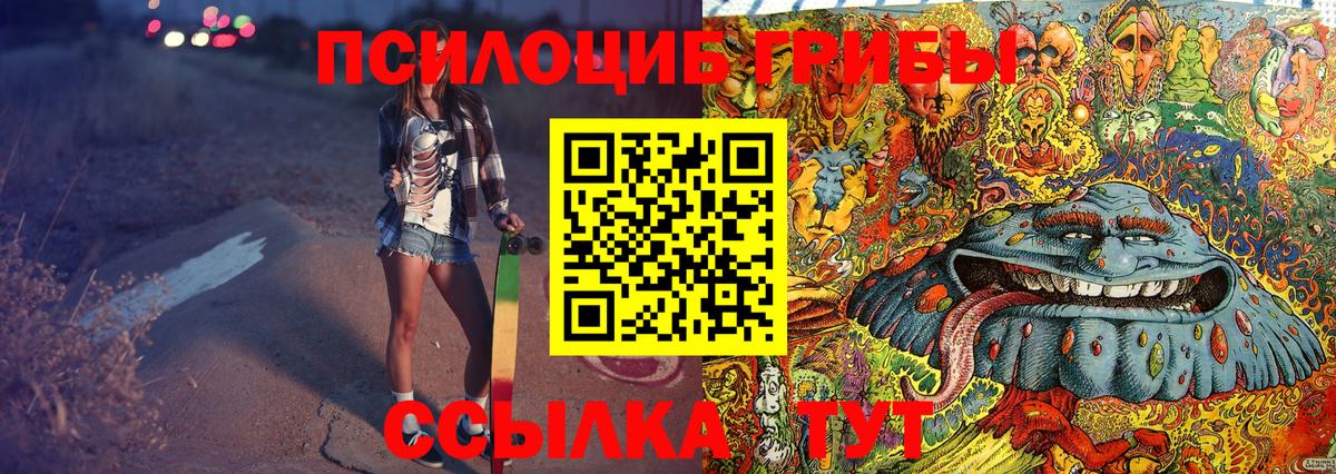 Пушкино  Галлюциногенные грибы Psilocybine cubensis  Псилоцибиновые грибы GOLDEN TEACHER  Вход с VPN 