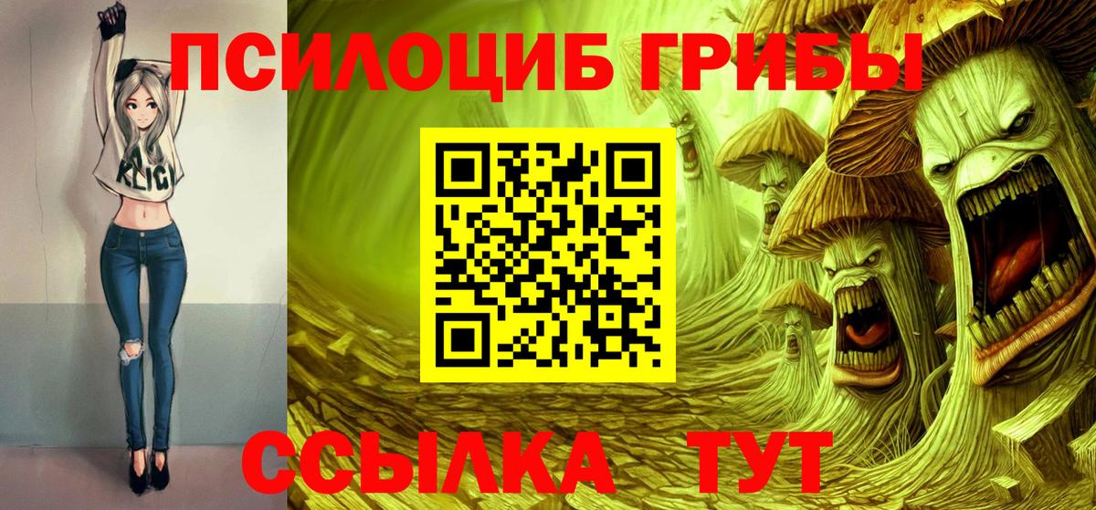 Псилоцибиновые грибы ЛСД Пушкино